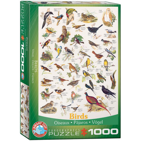 Birds 1000 bitar